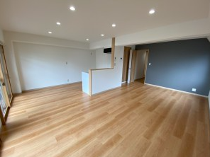 岡山市北区野田　賃貸マンション1LDK+S
